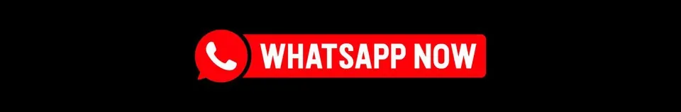 WhatsApp Now Animated Action Button